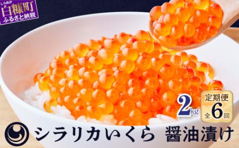 年6回!シラリカいくら(醤油味)定期便【2kg(250g×8)×6回】_K660-1046