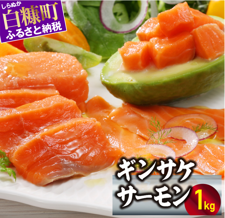 ギンサケサーモン【1kg】 小分け 下処理不要 絶品の「塩締め」レシピ ふるさと納税 海鮮 サーモン 鮭 魚 銀鮭 刺身 生食用 さけ サケ ふるさと ランキング 人気 魚介類 魚介 北海道 白糠町_T011-0905-2602