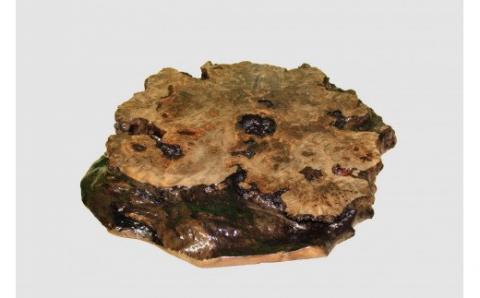 【40】座卓（テーブル）埋もれ木・一枚天板【厚さ約4.5cm】_I050-30009265