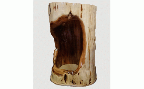 【13】チェーンソーアート・オンコ(イチイ)【高さ約53cm】_I240-0285