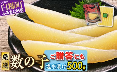 大手百貨店も扱う品質「塩数の子（塩水漬け）【500g】」おせち お正月 数の子 かずのこ 塩数の子 塩かずのこ つまみ 北海道 海鮮 人気 グルメ 食べ物 魚卵 魚 魚介 北海道 白糠町_T012-0132