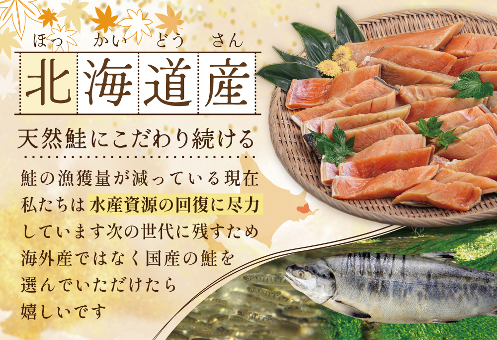 【訳あり】秋鮭ドンっ！無塩 秋鮭 切り身 1.5kg 【BT000PB05】