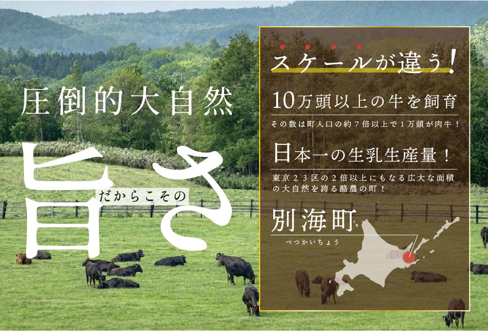 味付 焼肉 1.2kg 特製味噌だれ【 北海道 別海町産】 牛肉
