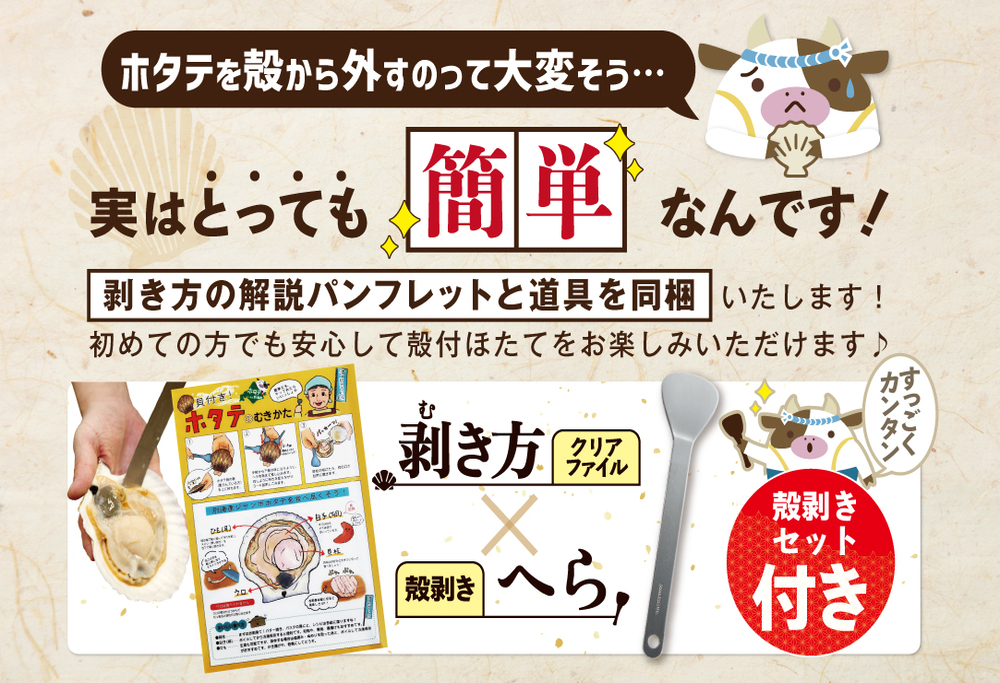 【先行予約】ジャンボ活ほたて 4kg相当 7～12枚入り＜朝どり新鮮出荷!＞【KN0000002】( ふるさと納税 ほたて 大玉 生食 活きほたて 生ホタテ 生帆立 生ホタテ貝柱 帆立貝柱 天然 冷蔵 刺身用)