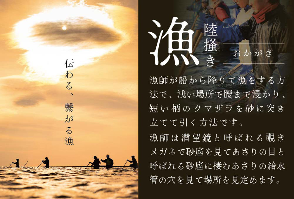 北海道 道東産 アサリ中 3kg (冷凍)　約 300g ×10 袋