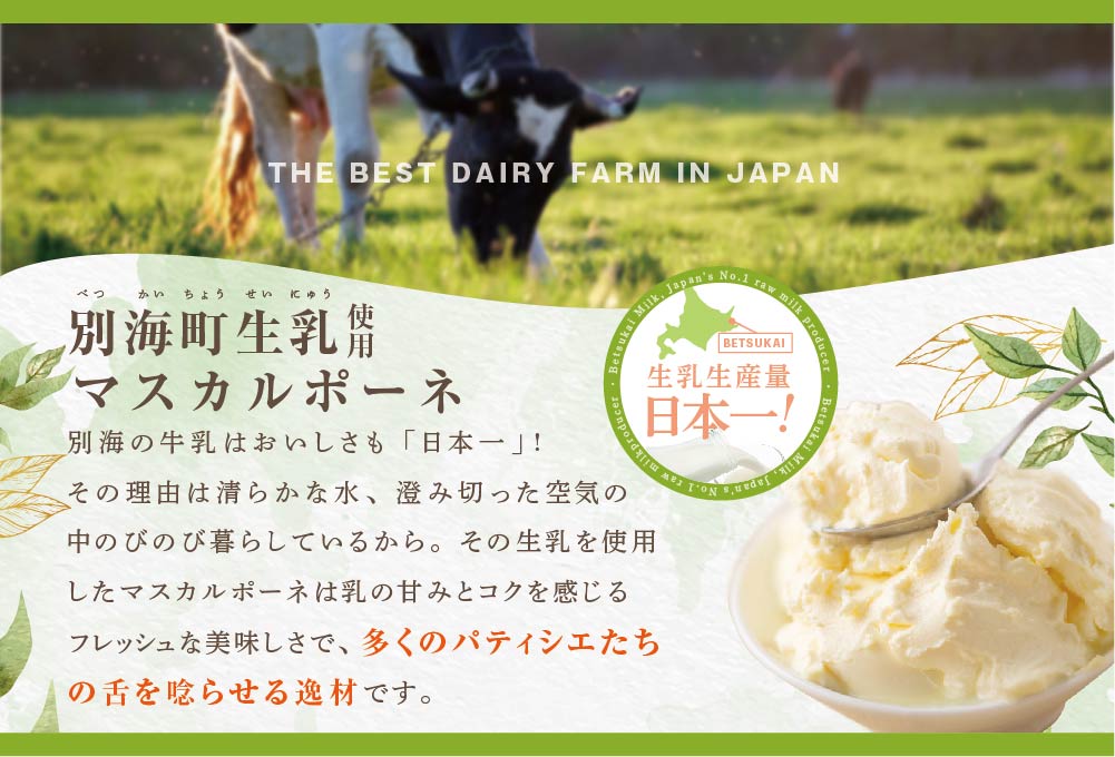 【定期便】チーズケーキ 【ドゥーブルフロマージュ】 ホール (4号×2個) × 12ヵ月【全12回】