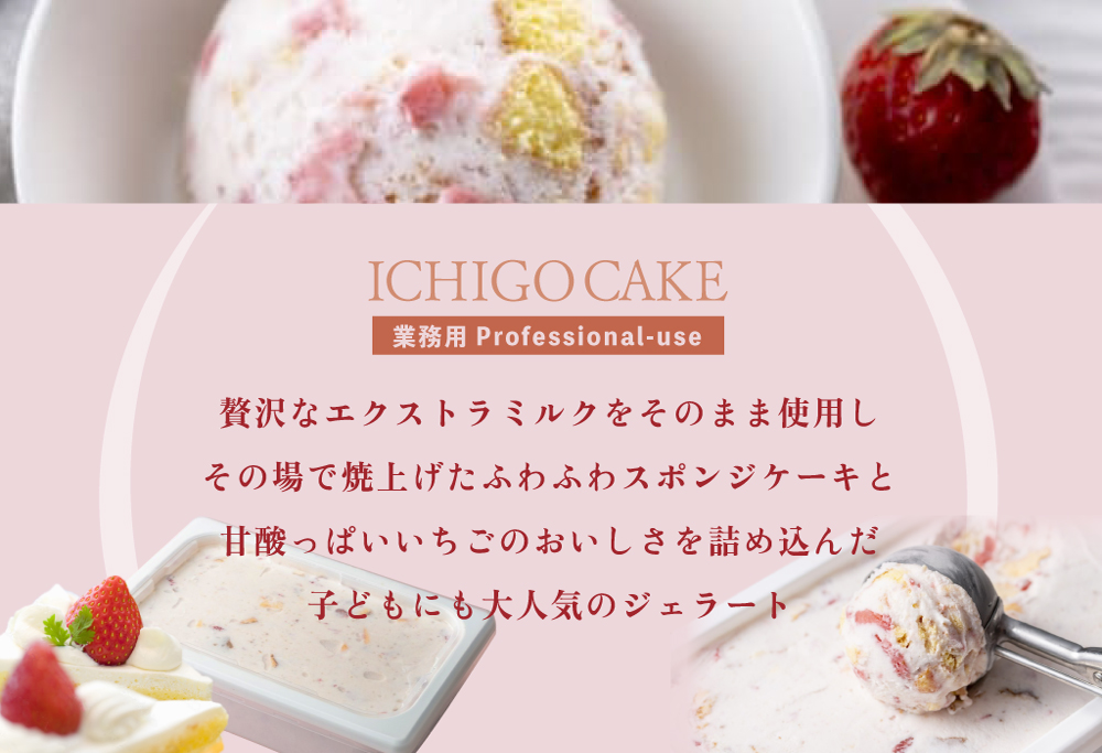 【毎月定期便】【THE ICE】業務用１リットル いちごケーキ ×3ヵ月定期便 【be003-1076-100-3】( アイス ジェラート )