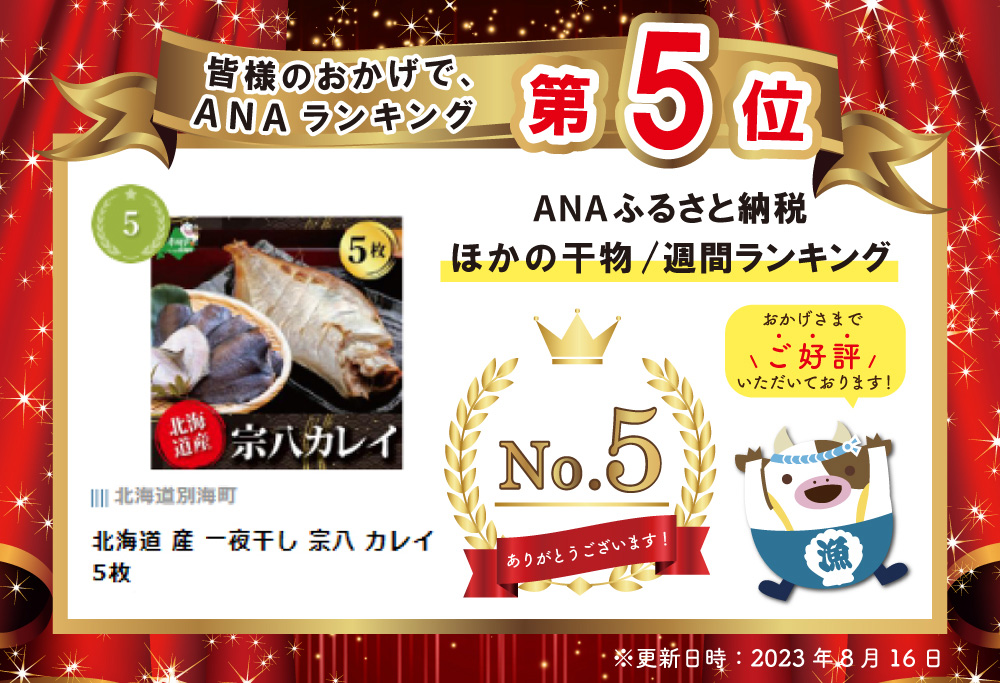 北海道 産 一夜干し 宗八 カレイ 5枚