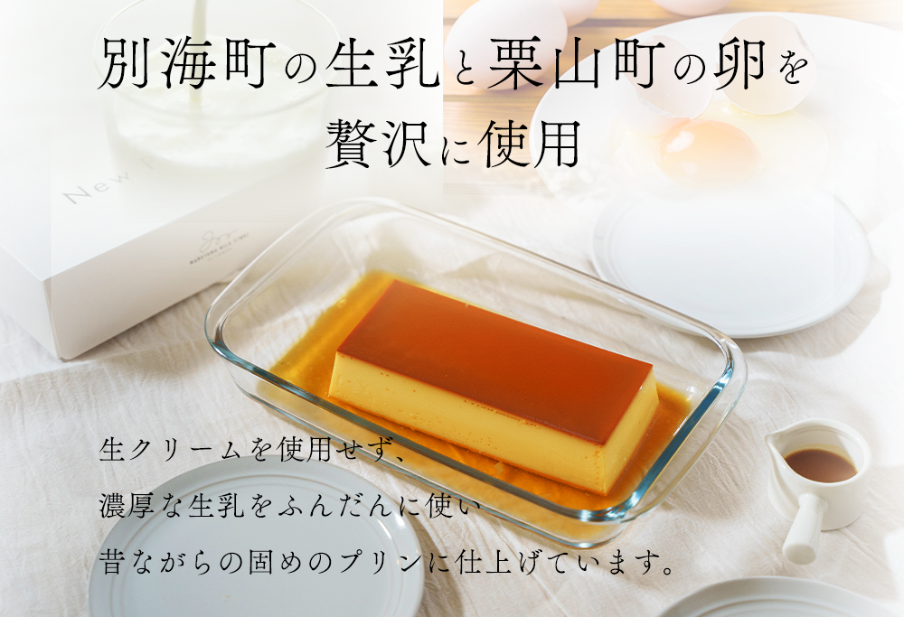 【隔月定期便】濃厚プリン　New Pudding（ニュープディング）（500g×1本）×4回【be152-0931-200-4】