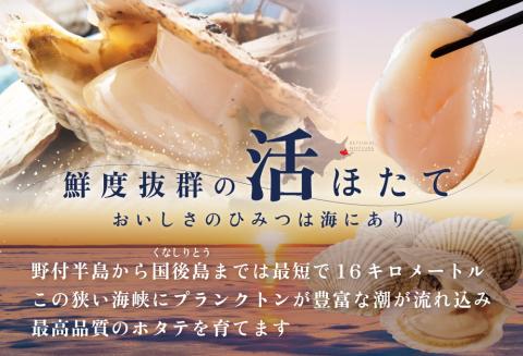 【先行予約】北海道野付産活ホタテ 3Kg（10枚前後）【KO0000001】