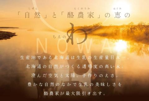 【毎月定期便】【THE ICE】3種詰合せ12個セット×8ヵ月定期便 【be003-1073-100-8】( アイス ジェラート )