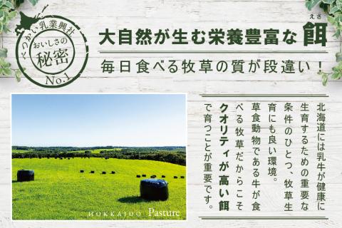 〈べつかい乳業興社〉 プレミアムミルクリッチ（ミルク・めろん各6個） 【高島屋選定品】（北海道 別海町 高島屋 牛乳 ふるさと納税 )