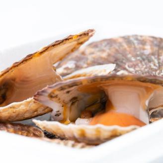 朝どり 新鮮出荷 活ホタテ 特大 3kg前後(10枚前後)　北海道 野付産 食べ応え抜群【UY0000013】