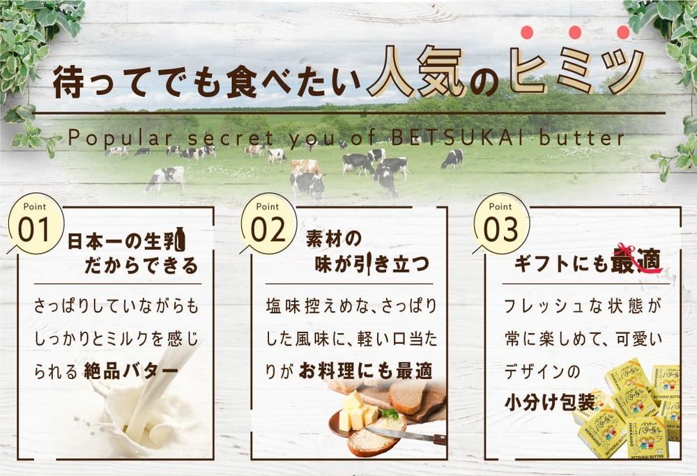 （2月発送）べつかいバター5個（100g×5個）BN1000008