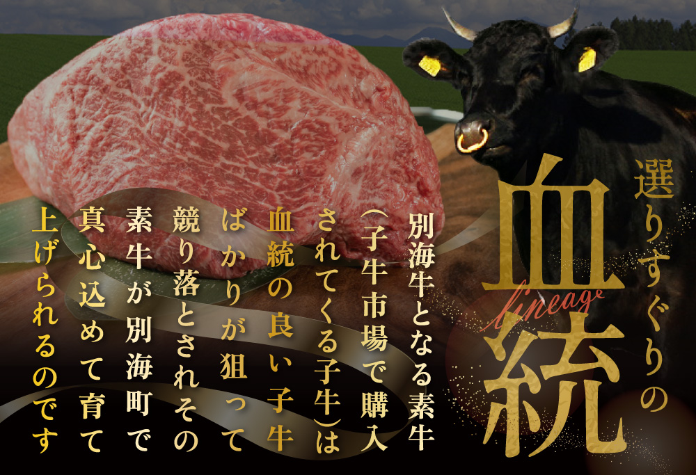 やわらか牛 赤身スライス600ｇ(300g×2P)【KK002LI01】