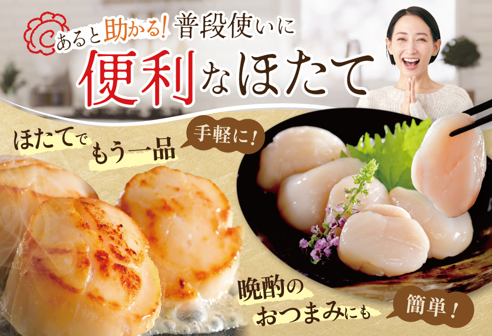 【禁輸に負けない！】【スピード配送】ほたて 貝柱 500g 北海道産 ホタテ 帆立 【スピード配送】寄付金額：11,000円