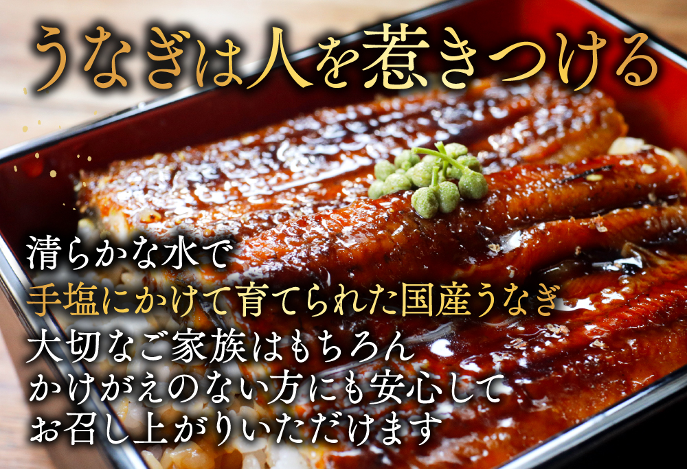 国産　特上うなぎ 2尾 合計 260g 以上