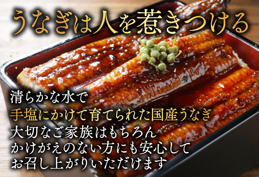 国産　特大　特上うなぎ　2尾 合計 380g 以上