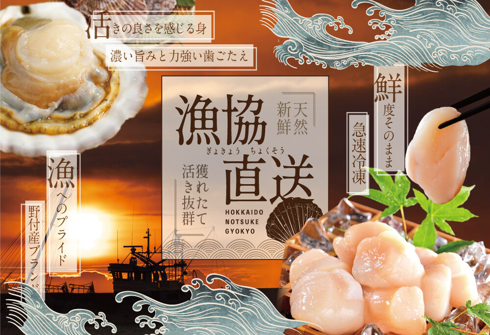 【毎月10ヶ月定期便】北海道 野付産  冷凍ホタテ 貝柱 ジャンボホタテ500g