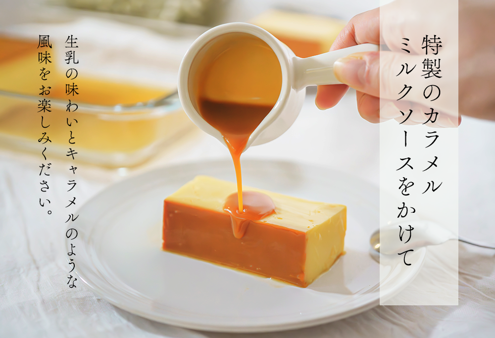 【定期便】濃厚プリン　New Pudding（ニュープディング）（500g×1本）×12ヶ月【be152-0931-100-12】