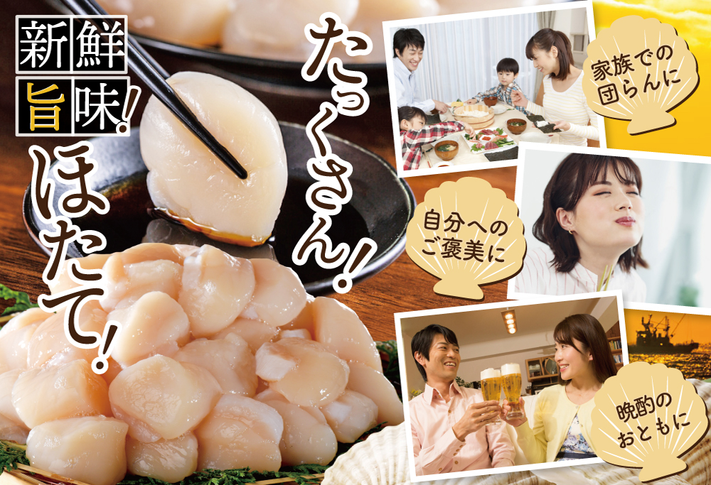 【禁輸に負けない！】【スピード配送】ほたて 貝柱 500g 北海道産 ホタテ 帆立 【スピード配送】寄付金額：11,000円