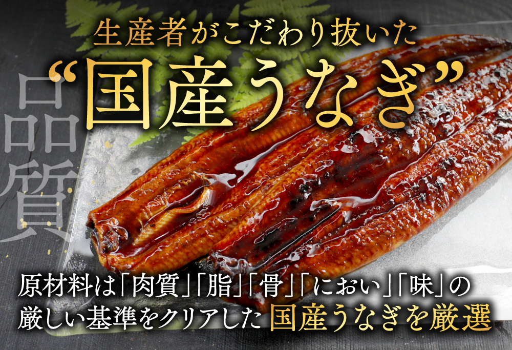 国産　特上うなぎ 2尾 合計 260g 以上