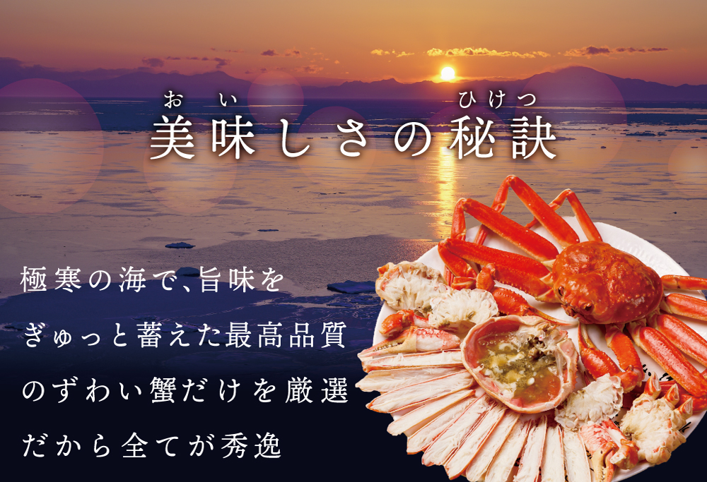 訳ありズワイ蟹 2尾（計1.4kg）【SS000HZ01】