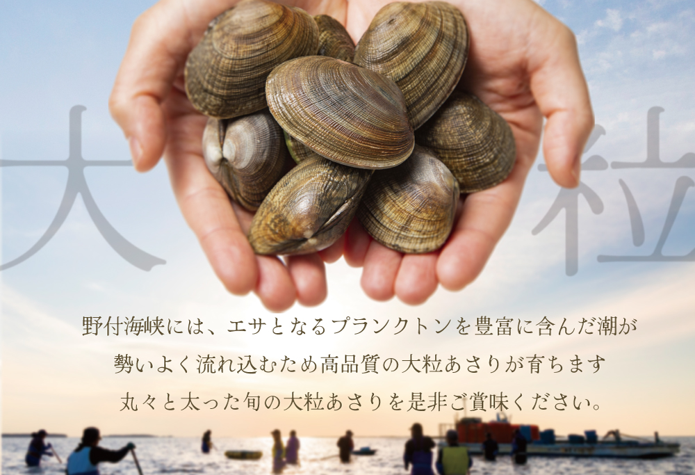 御礼！ランキング第1位獲得！北海道 野付産 大粒 天然 活あさり 2kg前後【UY0000003】