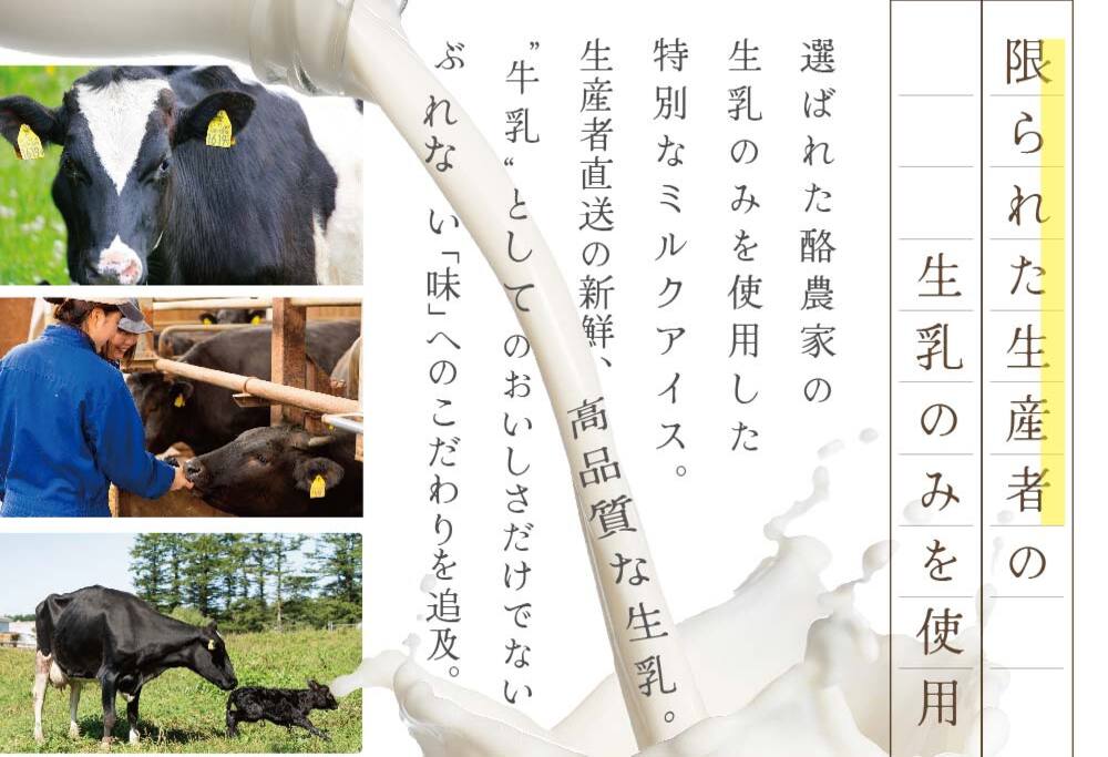 御礼！ランキング第1位獲得！【THE ICE】業務用１リットル いちごケーキ 【CJ0000187】( アイス ジェラート )