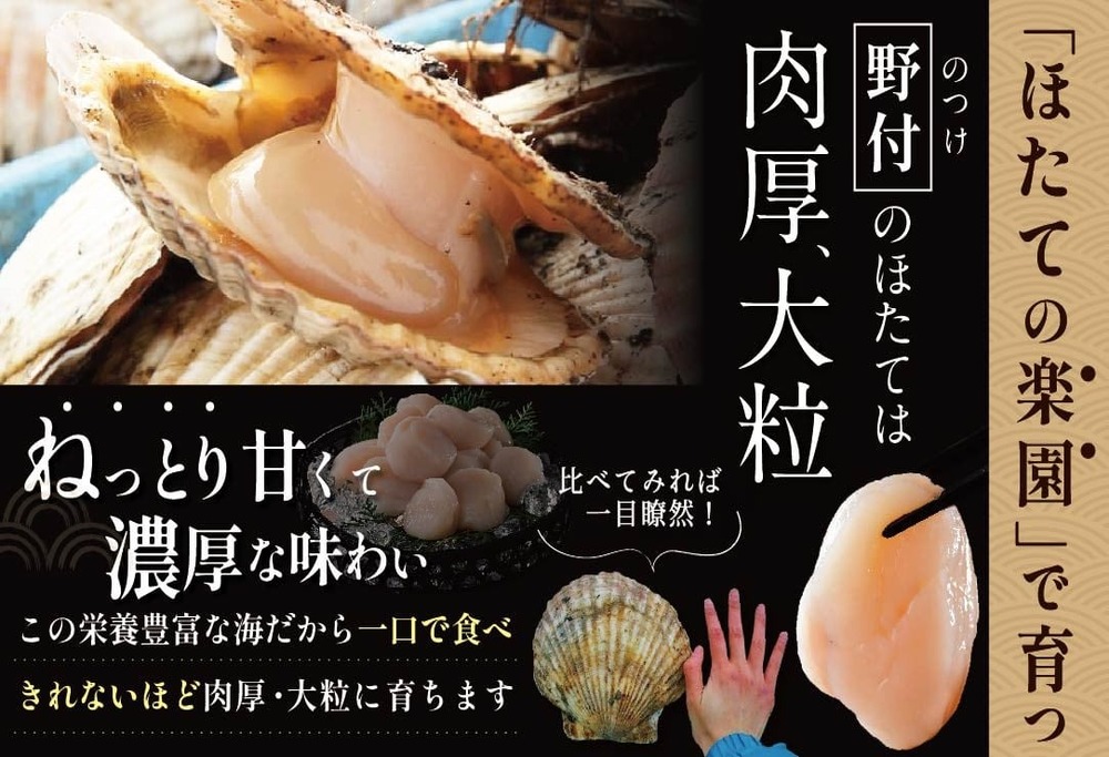 ランキング第3位獲得！ ほたて 500g 大粒 野付産