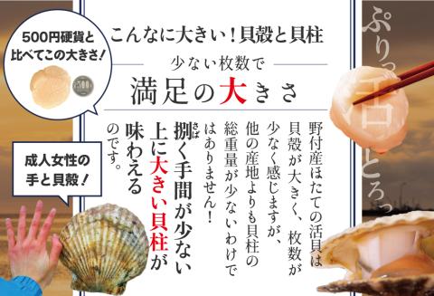 【先行予約】北海道野付産活ホタテ 3Kg（10枚前後）【KO0000001】