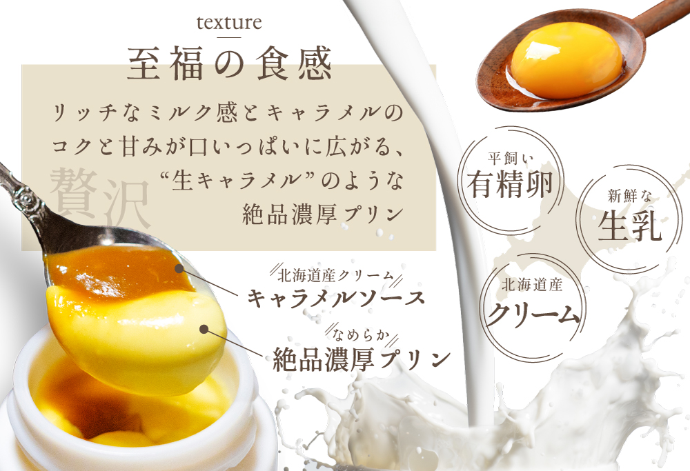 【定期便】絶品 濃厚 ！ 生キャラメルプリン 6個入 × 6ヵ月【全6回】
