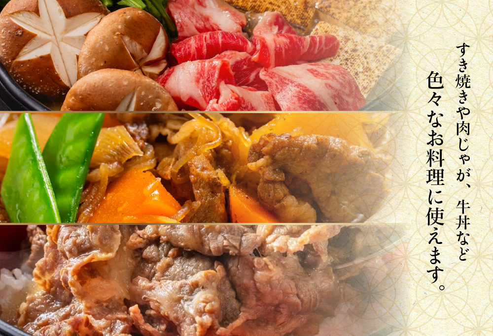 北海道 別海町 別海和牛 ロース 不揃い 切り落とし 500g（250g×2パック）【FF0000026】