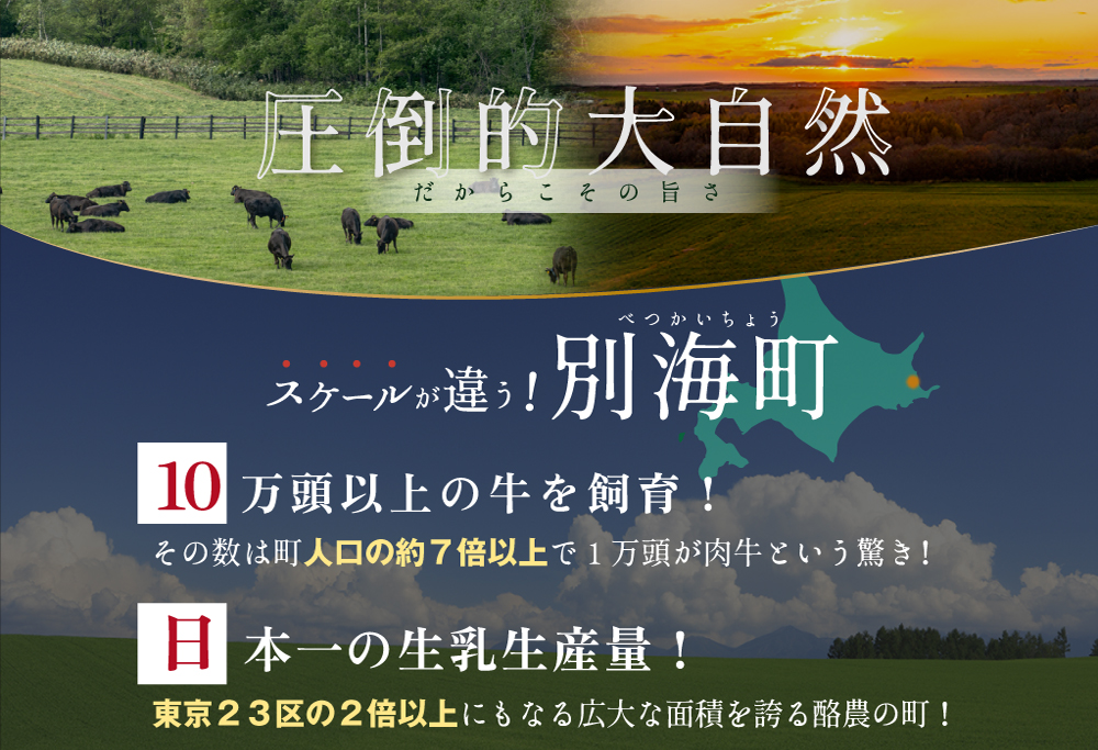 やわらか牛 赤身スライス600ｇ(300g×2P)【KK002LI01】