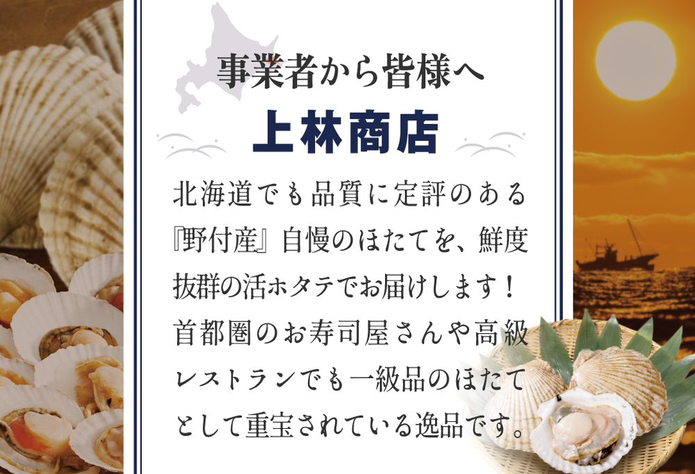 【先行予約】ジャンボ活ほたて 4kg相当 7～12枚入り＜朝どり新鮮出荷!＞【KN0000002】( ふるさと納税 ほたて 大玉 生食 活きほたて 生ホタテ 生帆立 生ホタテ貝柱 帆立貝柱 天然 冷蔵 刺身用)