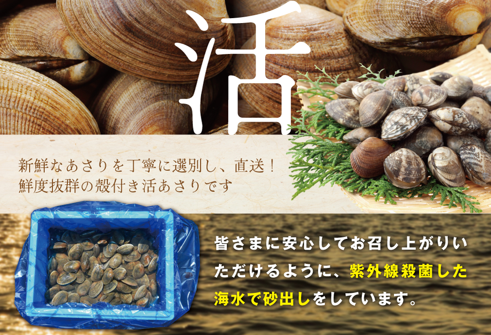御礼！ランキング第1位獲得！北海道 野付産 大粒 天然 活あさり 2kg前後【UY0000003】
