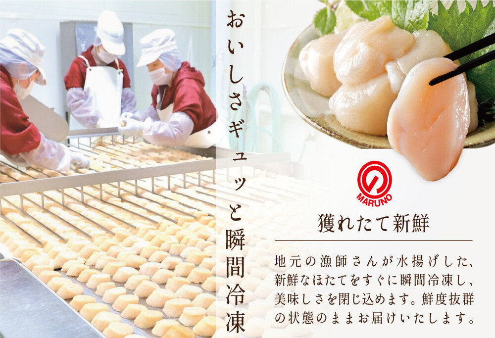 【毎月10ヶ月定期便】北海道 野付産  冷凍ホタテ 貝柱 ジャンボホタテ500g