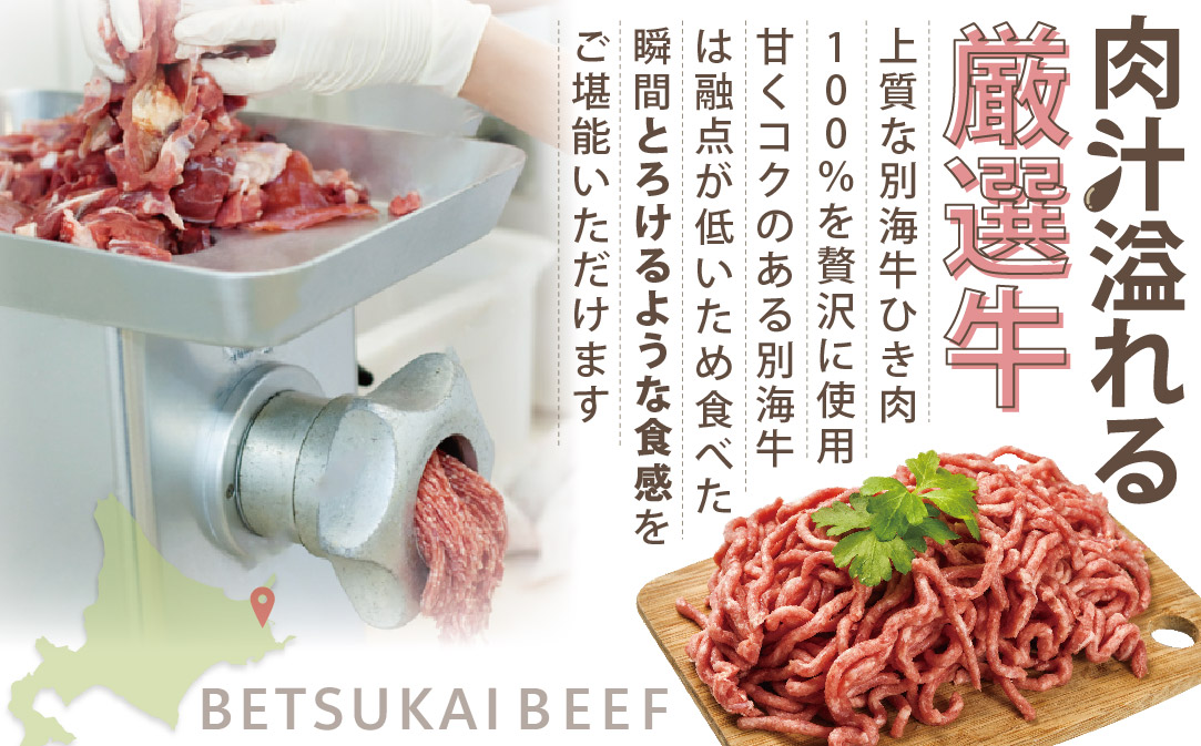 【別海牛100%と別海町ゴーダチーズ】チーズがとろける!別海チーズインハンバーグ(120g×9個)【be046-1217】