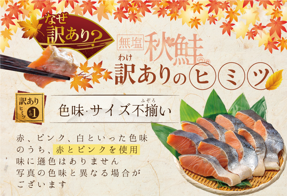 【ANA限定】御礼！ランキング第1位獲得！秋鮭 切り身 2.8kg 訳あり 無塩【MS000MG01】