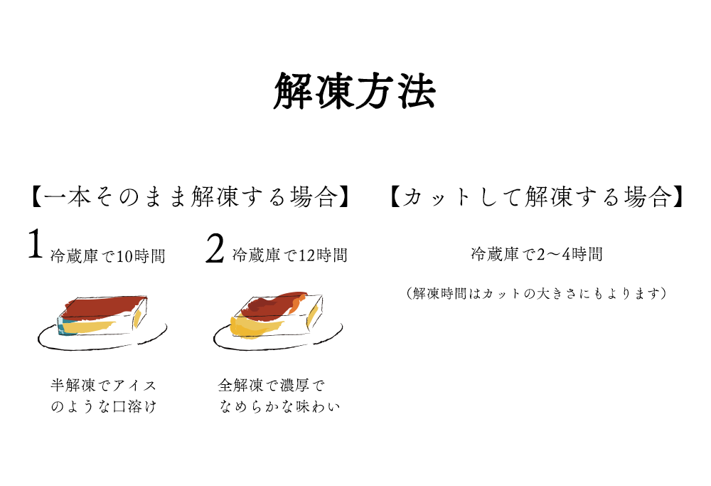 【隔月定期便】濃厚プリン　New Pudding（ニュープディング）（500g×1本）×6回【be152-0931-200-6】