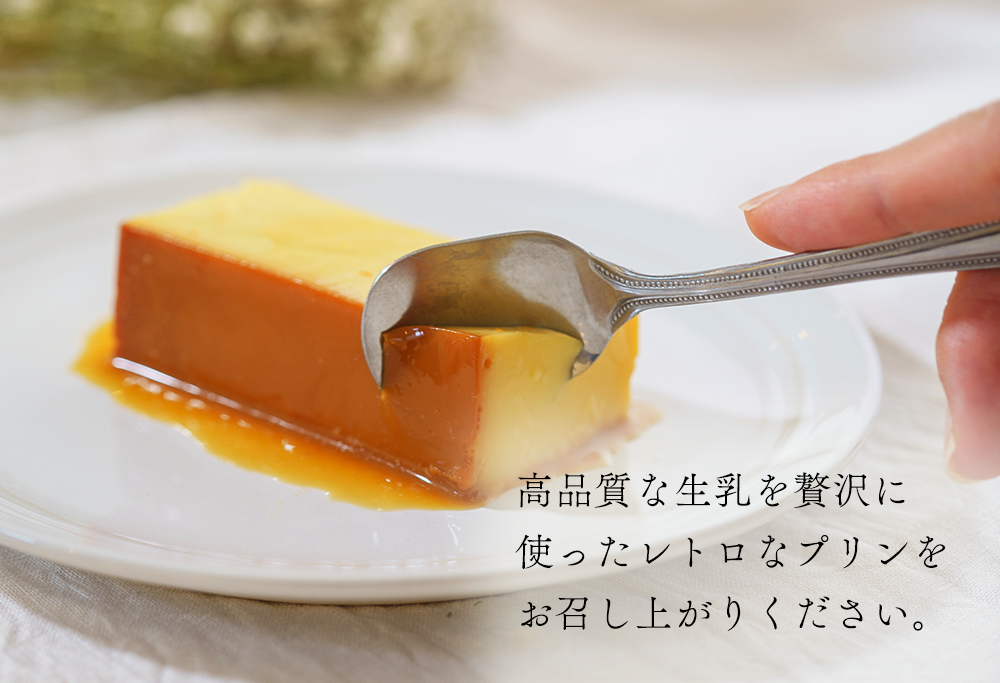 御礼！ランキング第１位獲得！濃厚プリン　New Pudding（ニュープディング）【be152-0931】