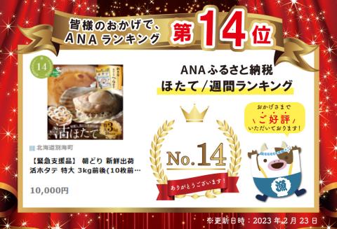朝どり 新鮮出荷 活ホタテ 特大 3kg前後(10枚前後)　北海道 野付産 食べ応え抜群【UY0000013】