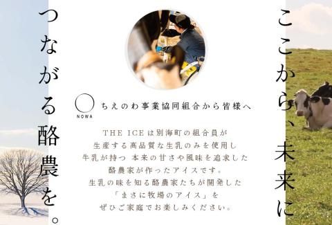 【毎月定期便】【THE ICE】3種詰合せ12個セット×8ヵ月定期便 【be003-1073-100-8】( アイス ジェラート )