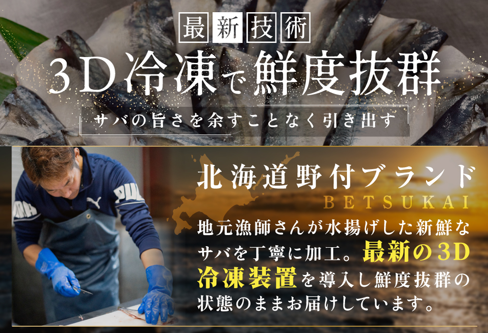 【訳あり】塩 サバ フィレ 2kg 【BS0000008_xx1】