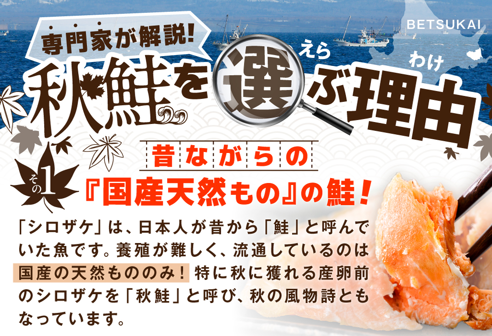 「 秋鮭 の 切り身 （ 無塩 ）」1.4kg 【BT000SF01】