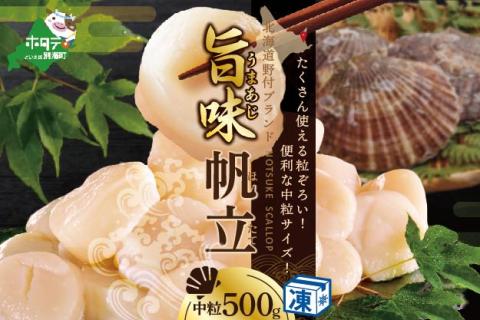 北海道 野付産  ほたて 貝柱 中粒 500ｇ