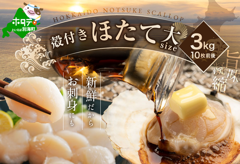 【先行予約】北海道野付産活ホタテ 3Kg（10枚前後）【KO0000001】