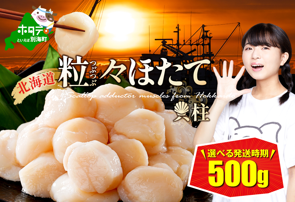 【禁輸に負けない！】【スピード配送】ほたて 貝柱 500g 北海道産 ホタテ 帆立 【スピード配送】寄付金額：11,000円