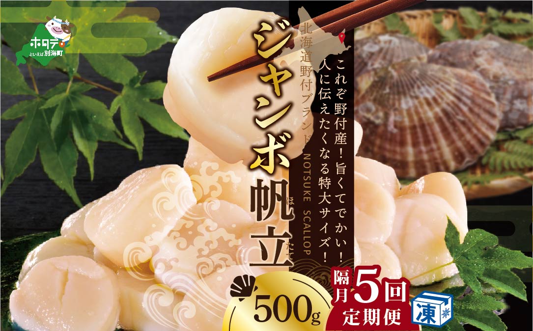 【隔月5ヶ月定期便】北海道 野付産  冷凍ホタテ 貝柱 ジャンボホタテ500g