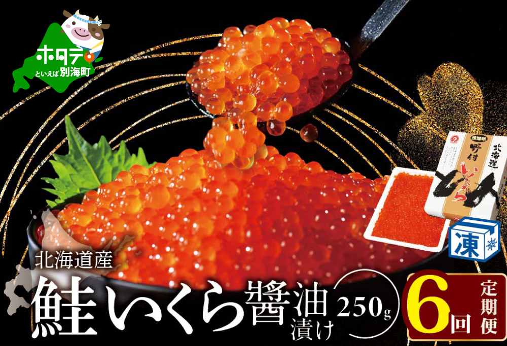 【6ヵ月 定期便】本場「北海道」 いくら 醤油漬け 計1.5kg【250g×1パック 6回 お届け】【NKM06NQ13】